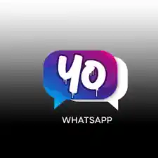 Yo WhatsApp